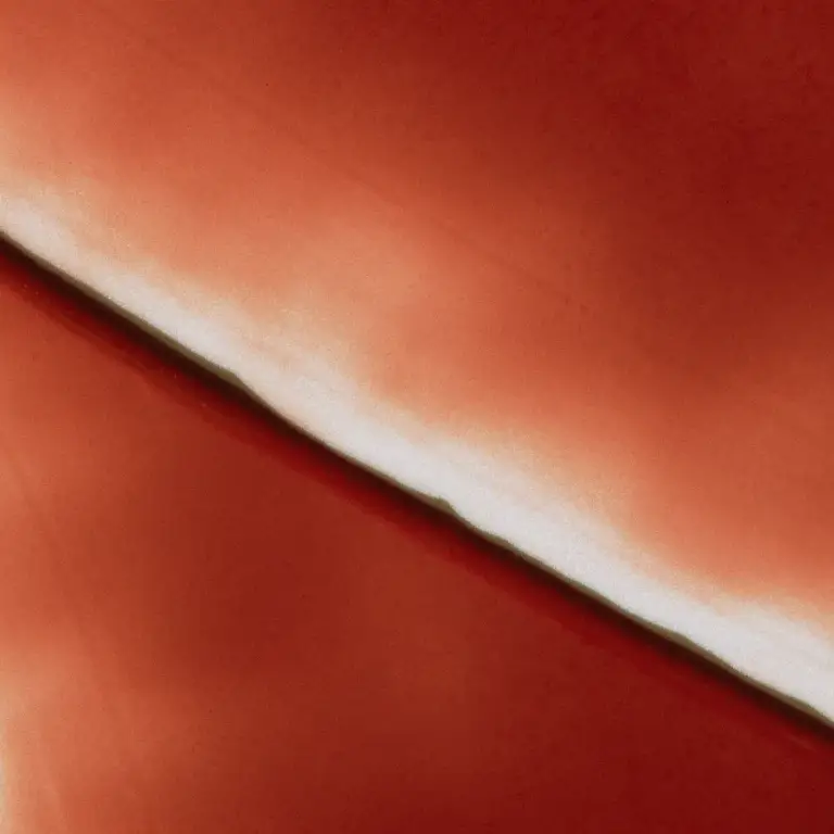[12colors] melixir Vegan Lip Butter 0.13 oz.(3.9g) 06 Rust Red 0.13 oz. (3.9 g)