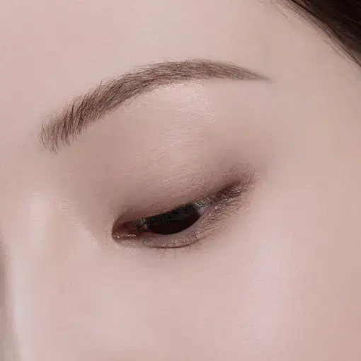 [12colors] AmeliSeoul Step Basic Eyeshadow 217 Charcoal brown 0.06 oz.(1.9g)