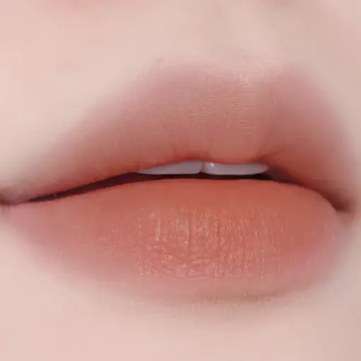 Tooq Without Mirror Lip Tint (Set/Single) (20 Colors) [NEW] 18 Naked Almond