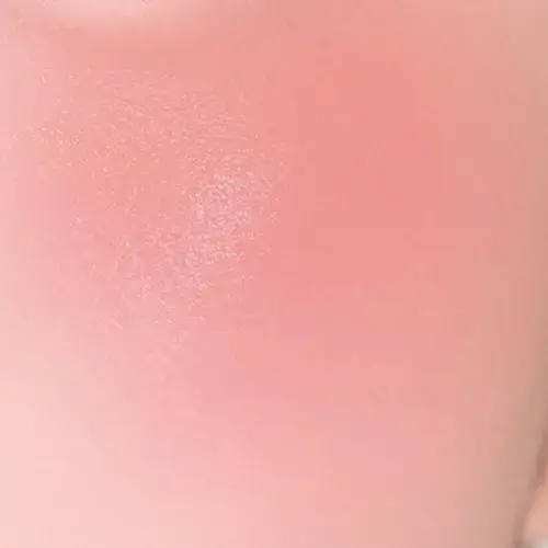 CLIO Essential Lipcheek Tap (Dewy/Blur) (12 Colors) [Blur] 06 Rose Brunch
