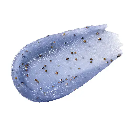 nuse Seed Care Lip Scrub (4 Options) 04 Veri Blue
