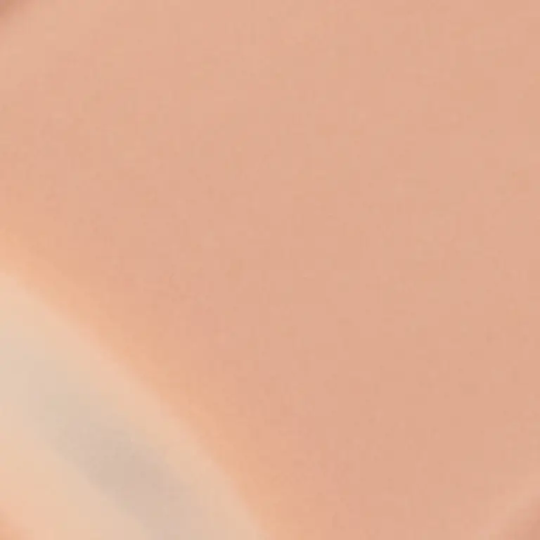 [14colors] JAVIN DE SEOUL Wink Eye Shade Primer 0.19 oz.(5.5g) 01 Pale Ginger 0.19 oz.(5.5g)