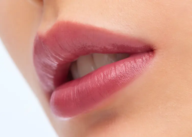 HERA Rouge Classy 3.5g Mauve Chic