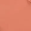JUNGSAEMMOOL New Classic Matte Lipstick Soft Coral