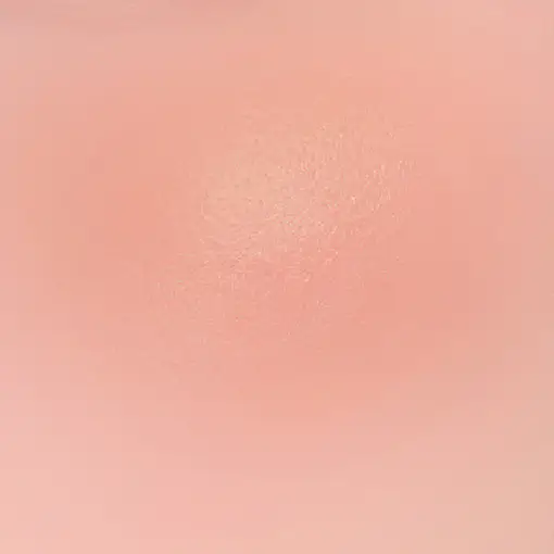 TIRTIR Airy Bloom Mesh Cushion Blush (10 Colors) 05 Roasted Coral