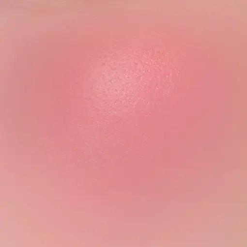 TIRTIR Airy Bloom Mesh Cushion Blush (10 Colors) 10 Crimson Plum