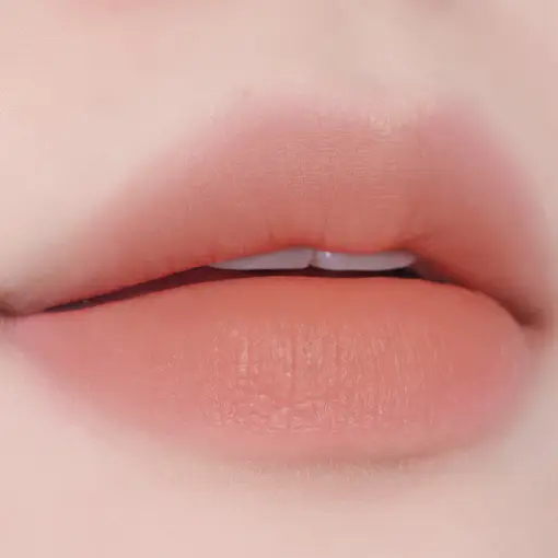 Tooq Without Mirror Lip Tint (Set/Single) (20 Colors) 16 Bare Apricot